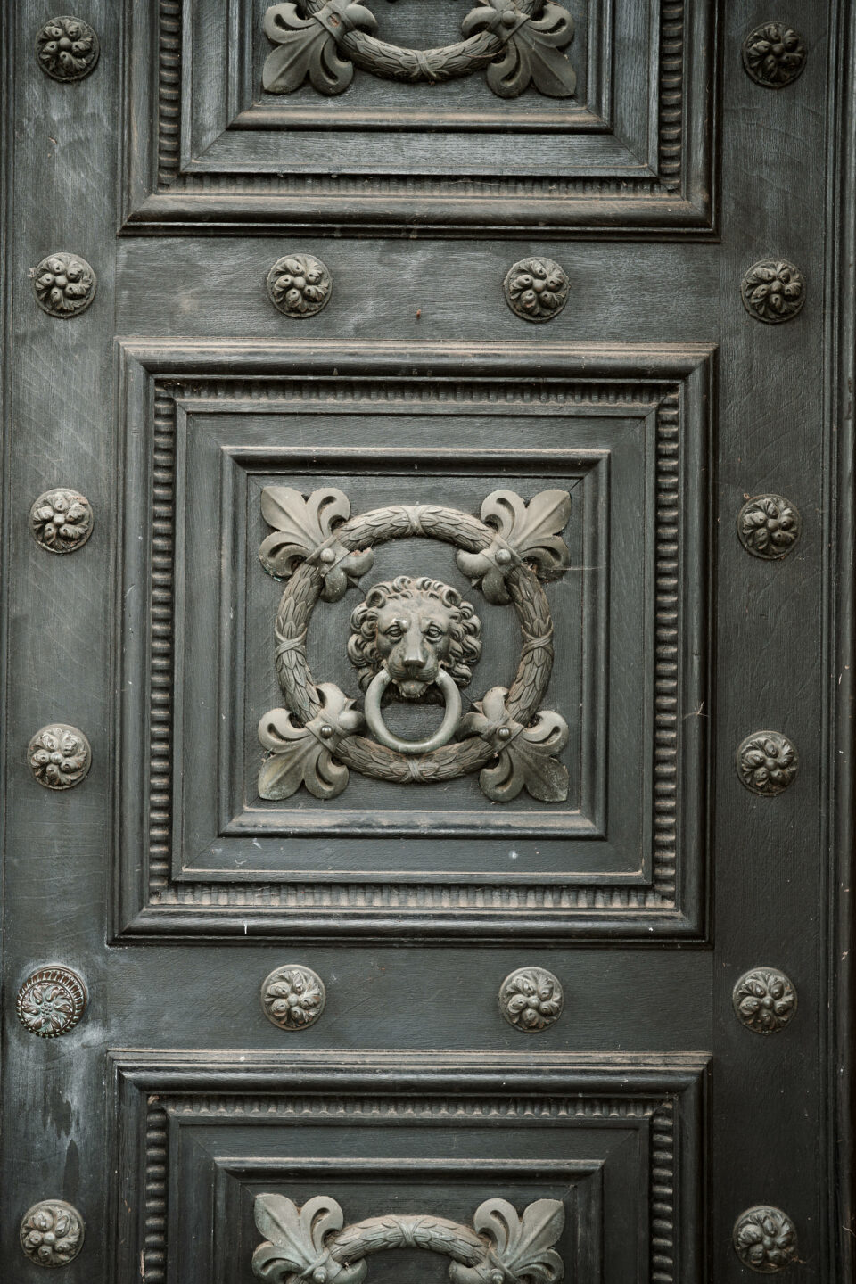 A fancy door with a lion's face on it.