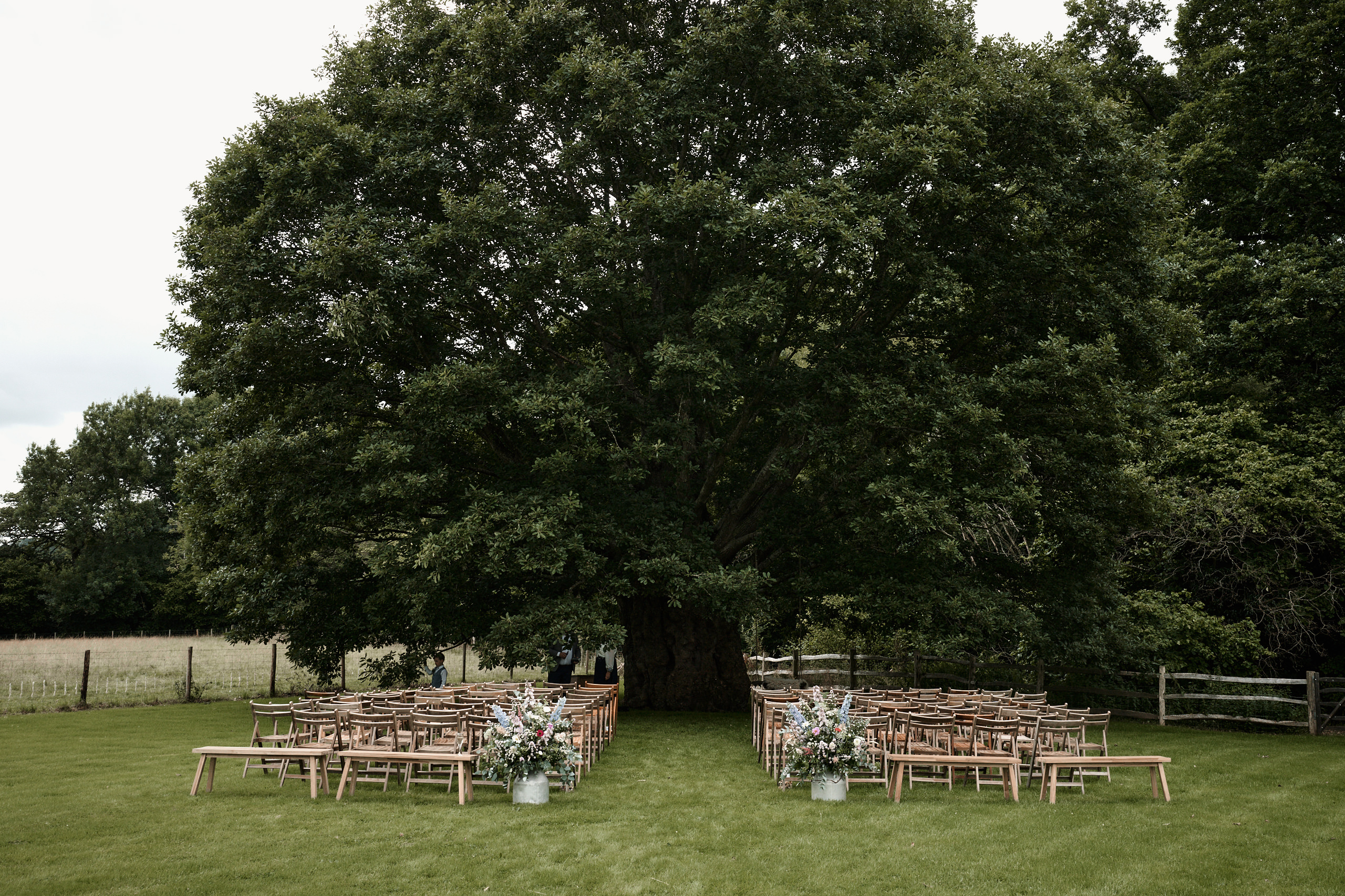 A wedding ceremony is held in front of a big tree.